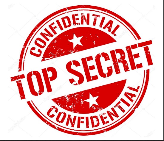 holly-stark-head-in-the-clouds-seo-training-basic-and-advanced